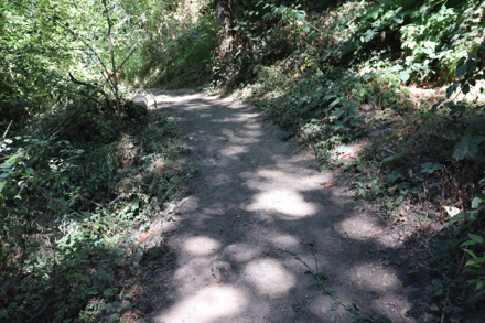 Typical section of trail beyond the lookout